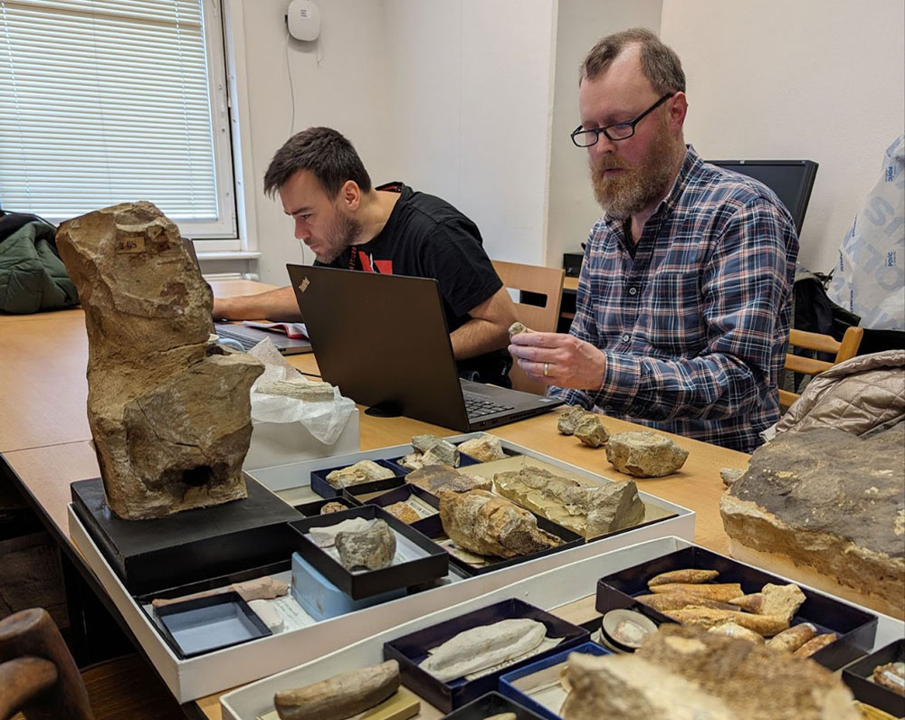 Daniel Madzia and Sven Sachs are studying Czech plesiosaur specimens in Prague