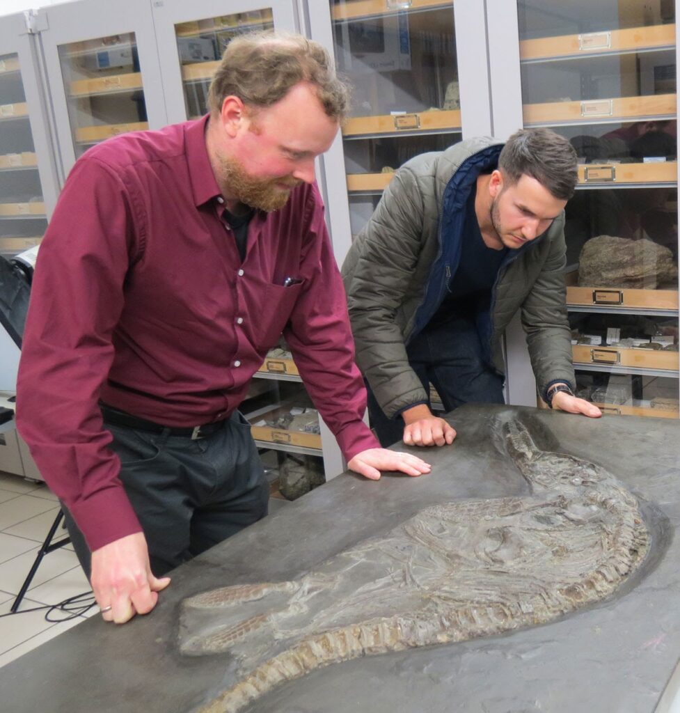 Dean Lomax and Sven Sachs study a composite ichthyosaur at Reutlingen (Germany)