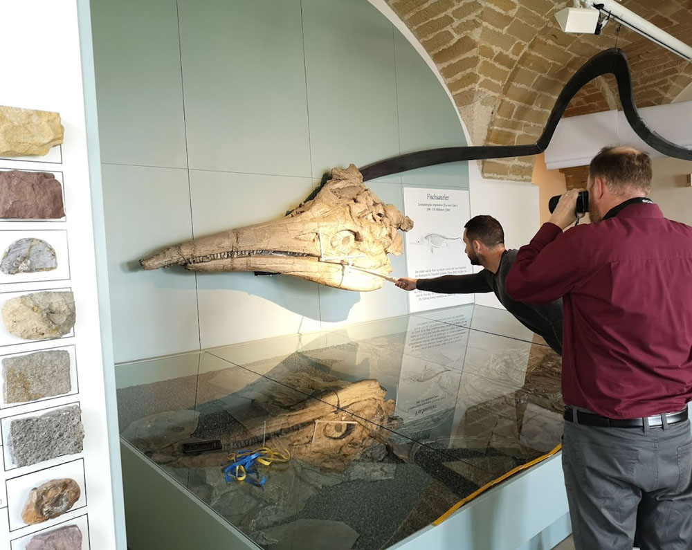 Dean Lomax and Sven Sachs study a huge Temnodontosaurus skull at Banz (Germany)