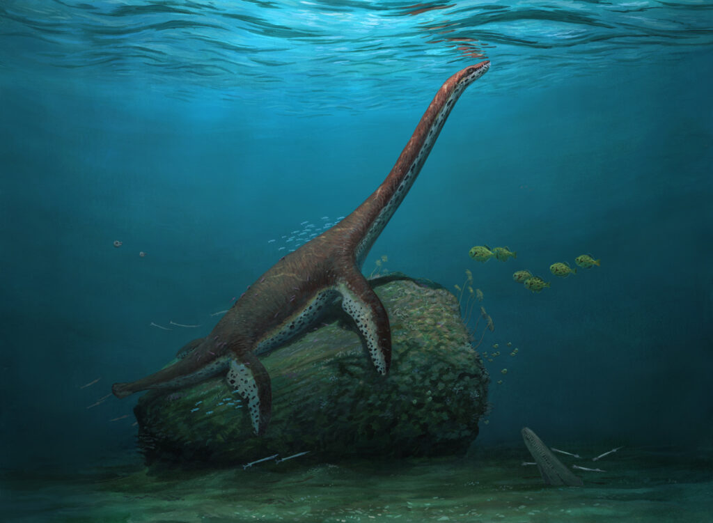 Life reconstruction of Franconiasaurus brevispinus by Joschua Knüppe