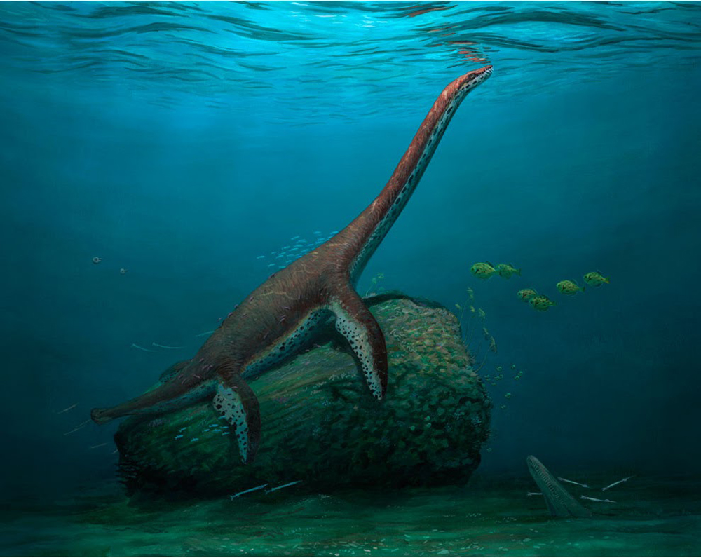 Franconiasaurus brevispinus life reconstruction by Joschua Knüppe