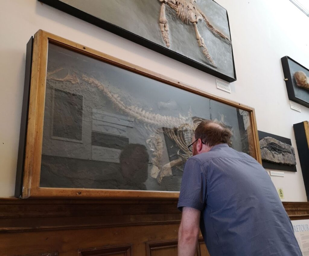Sven Sachs studying a skeleton of Thalassiodracon at the Redpath Museum in Montreal