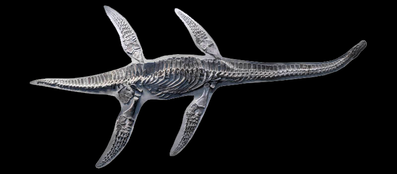 Microcleidid-Research-Sachs-Vertebrate-Palaeontology-Research