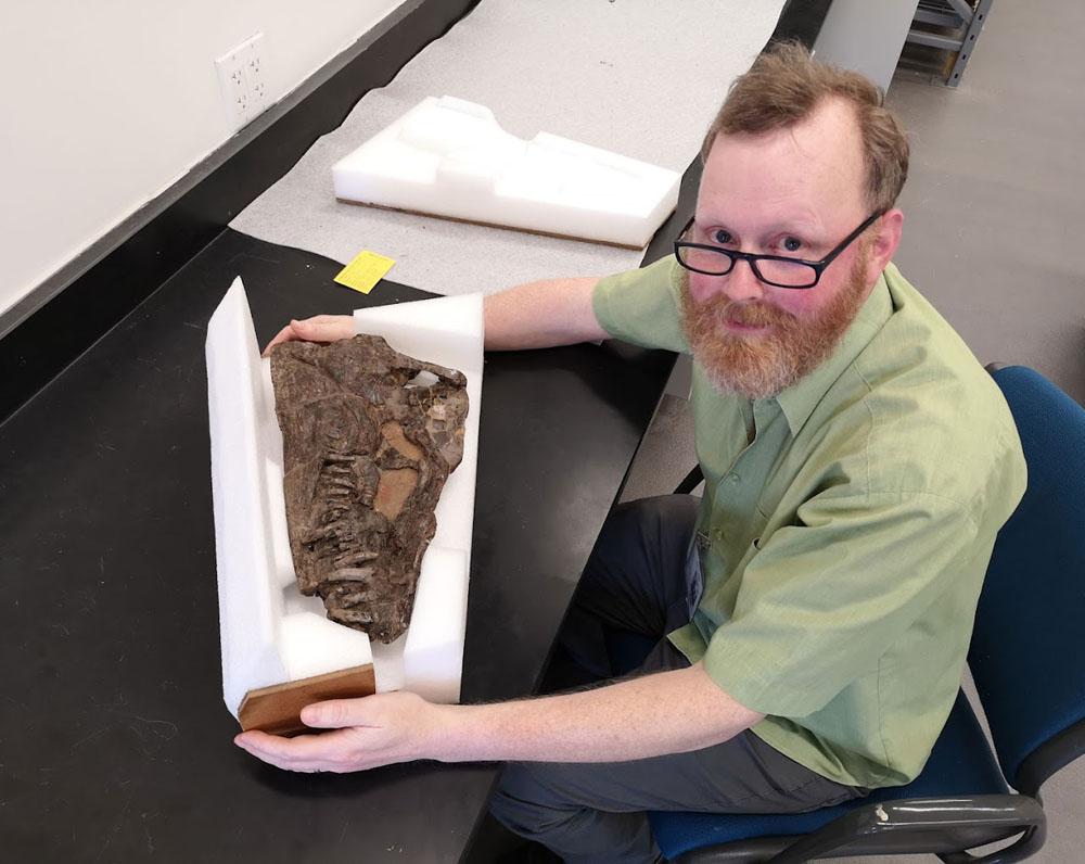 Studying Styxosaurus browni at the American Museum of Natural History in New York