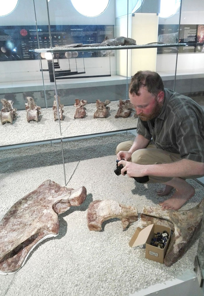 Studying the dinosaur Aerosteon riocoloradenis at the Museo de Ciencias Naturales y Antropológicas “Juan C. Moyano” in Mendoza (Argentina)