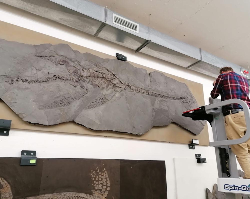 Sven Sachs is taking a photo of a plesiosaur from Holzmaden