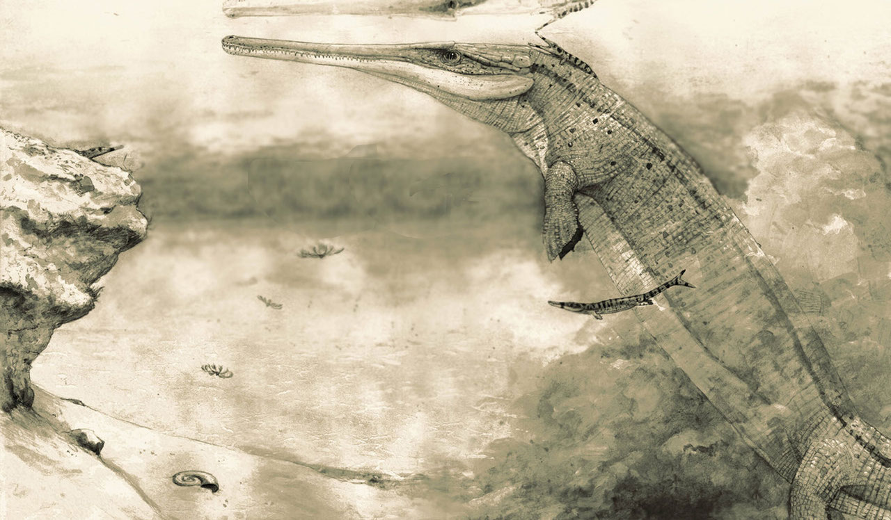 Life reconstruction of Cricosaurus by Joschua Knüppe