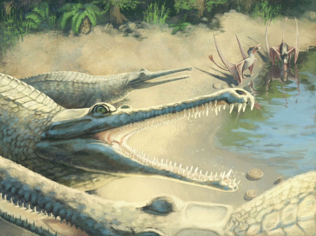 Life reconstruction of Mystriosaurus. Artwork by Julia Beier (Hamburg)
