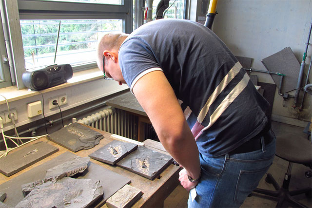 Johan Lindgren studying MH 432 and other Posidonia Shale fossils during a visit to Holzmaden in 2015 (photo by Sven Sachs)