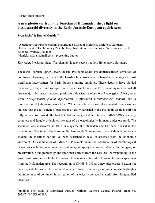 A new plesiosaur from the Toarcian of Holzmaden sheds light on plesiosauroid diversity in the Early Jurassic European epeiric seas