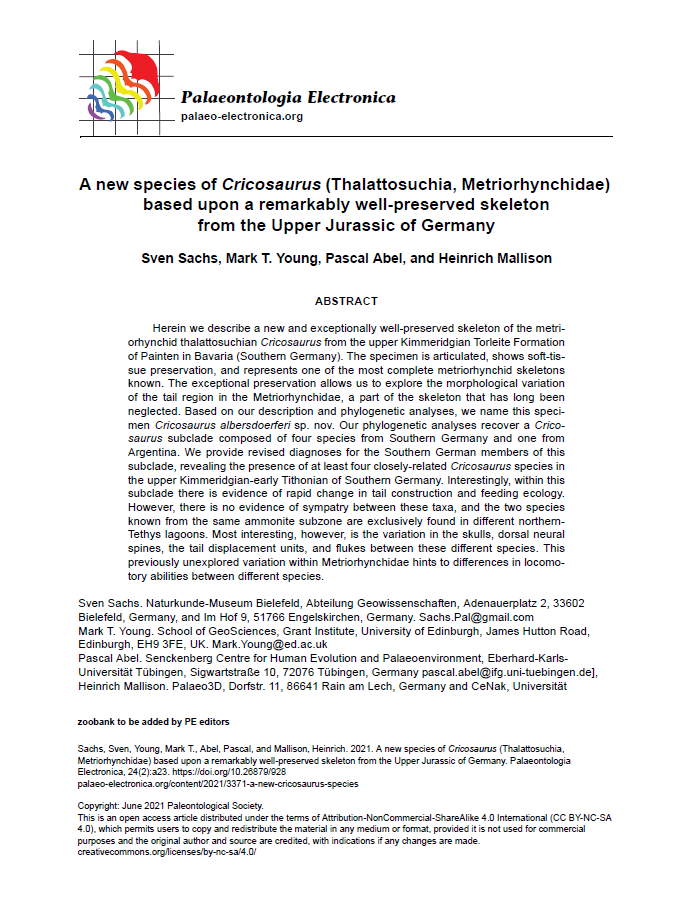 A new species of Cricosaurus (Thalattosuchia, Metriorhynchidae) based upon a remarkably well-preserved skeleton from the Upper Jurassic of Germany pdf