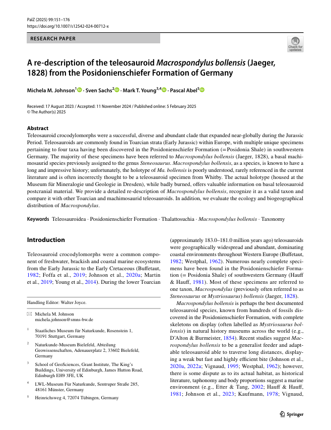 pdf Johnson, M.M., Sachs, S., Young, M.T. et al. A re-description of the teleosauroid Macrospondylus bollensis (Jaeger, 1828) from the Posidonienschiefer Formation of Germany. PalZ 99, 151–176 (2025).