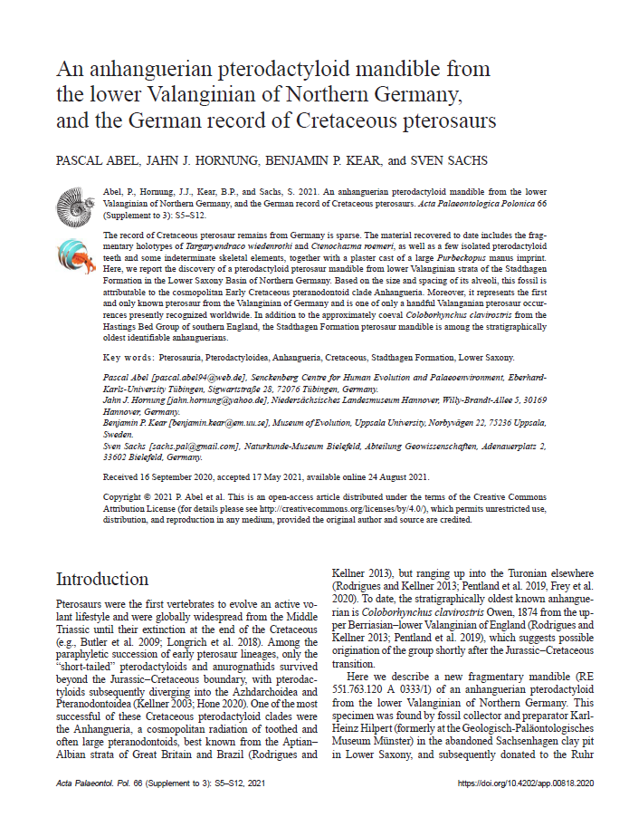 An anhanguerian pterodactyloid mandible from the lower Valanginian of Northern Germany, and the German record of Cretaceous pterosaurs pdf