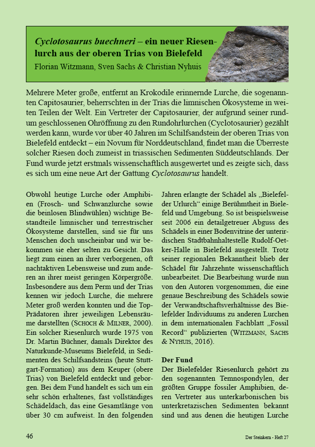 Cyclotosaurus buechneri – ein neuer Riesenlurch aus der oberen Trias von Bielefeld pdf