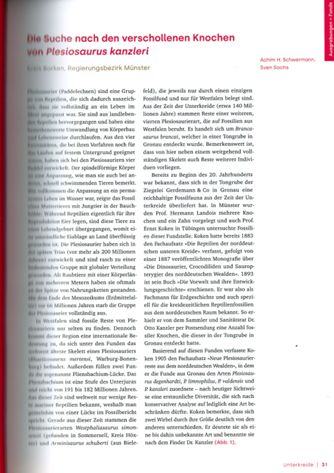 Die Suche nach den verschollenen Knochen von Plesiosaurus kanzleri pdf