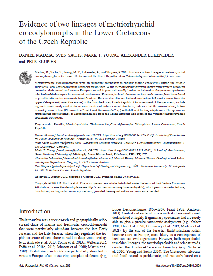 Evidence of two lineages of metriorhynchid crocodylomorphs in the Lower Cretaceous of the Czech Republic pdf