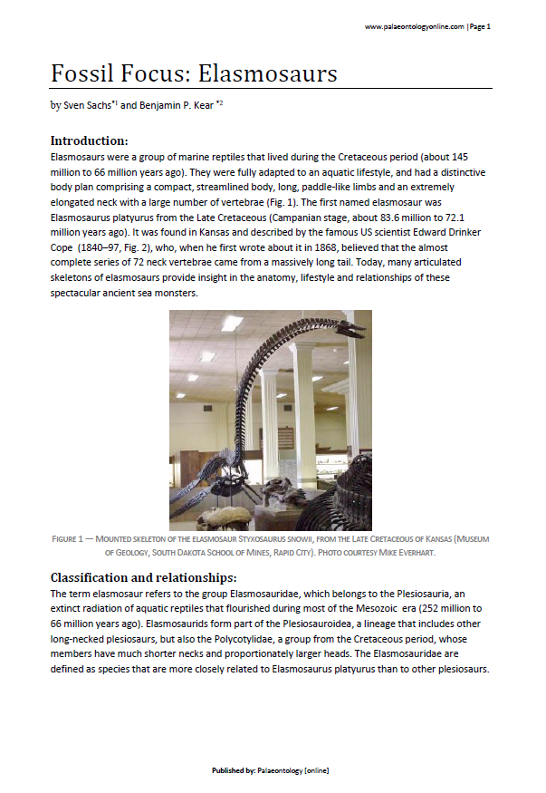 Fossil Focus Elasmosaurs pdf