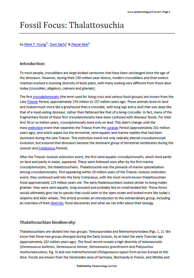 Fossil Focus Thalattosuchia pdf
