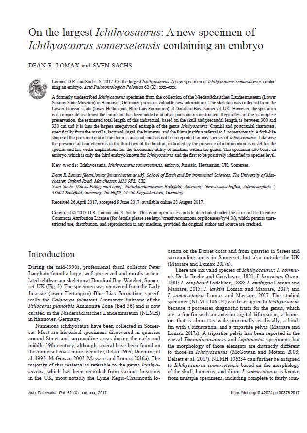 On the largest Ichthyosaurus A new specimen of Ichthyosaurus somersetensis containing an embryo pdf