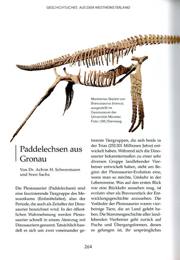 Pdf von Schwermann, A.H. & Sachs, S. (2025) Paddelechsen aus Gronau. Jahrbuch des Kreises Borken 2025: 264-267