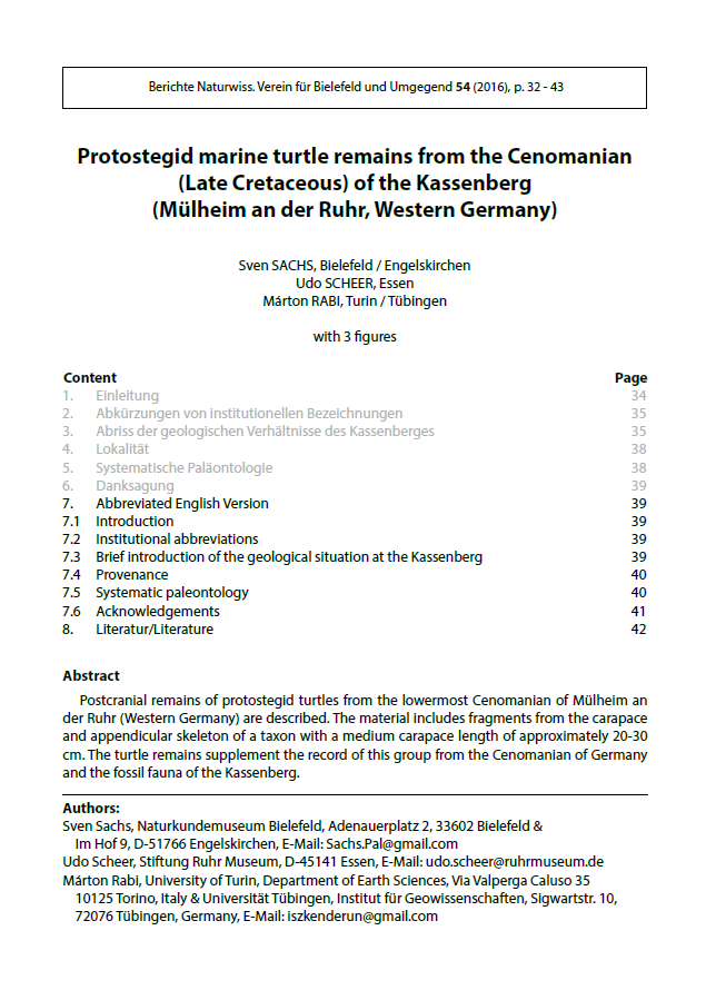 Protostegid marine turtle remains from the Cenomanian (Late Cretaceous) of the Kassenberg (Mülheim an der Ruhr, Western Germany) pdf