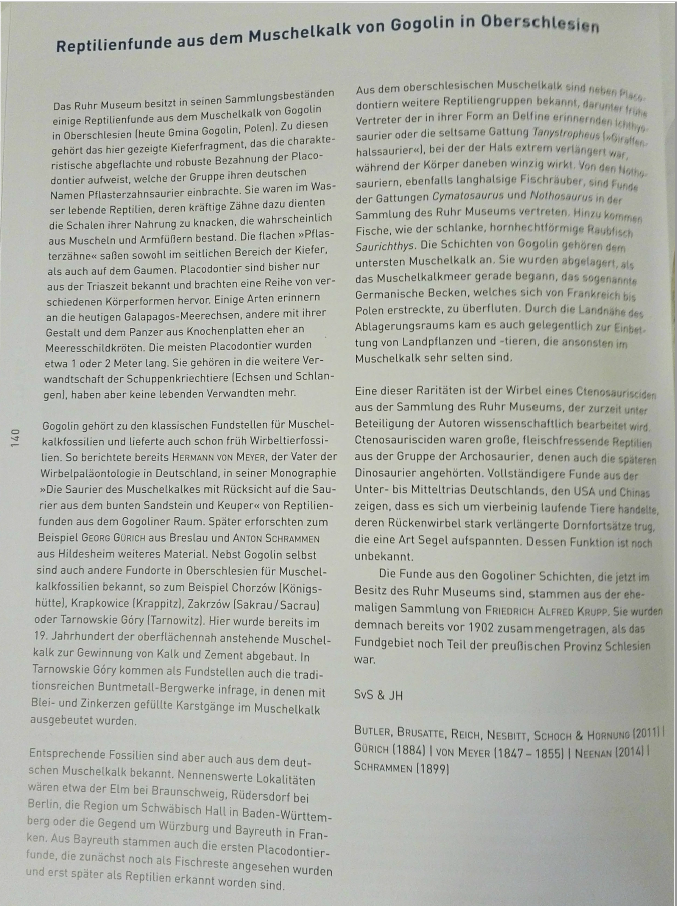 Reptilienfunde aus dem Muschelkalk von Gogolin pdf